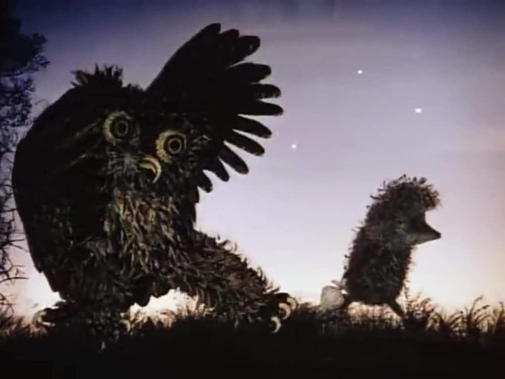 霧の中のハリネズミ／霧につつまれたハリネズミの画像