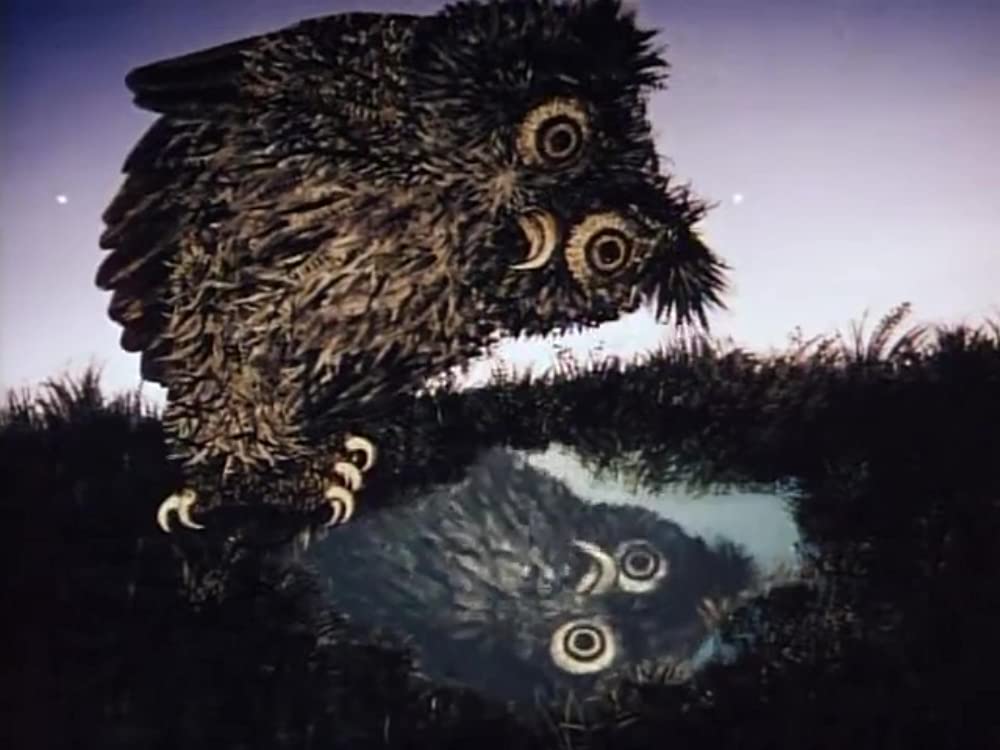 霧の中のハリネズミ／霧につつまれたハリネズミの画像