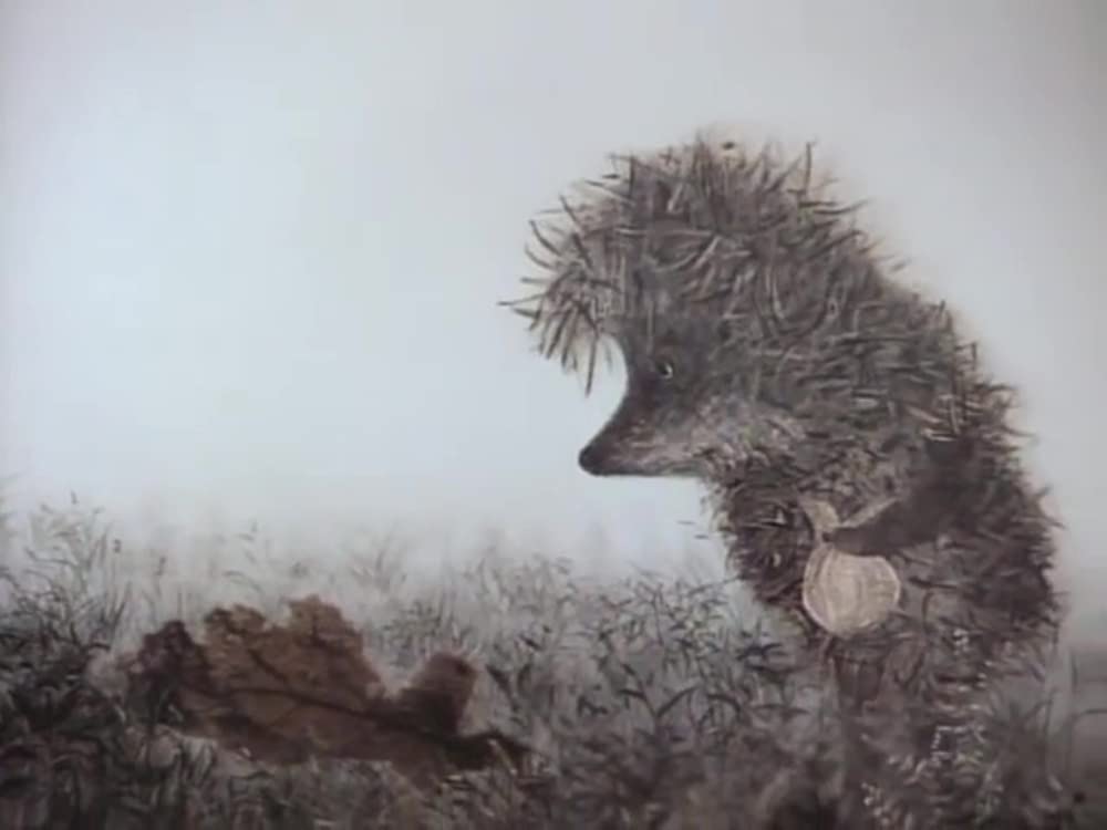 霧の中のハリネズミ／霧につつまれたハリネズミの画像