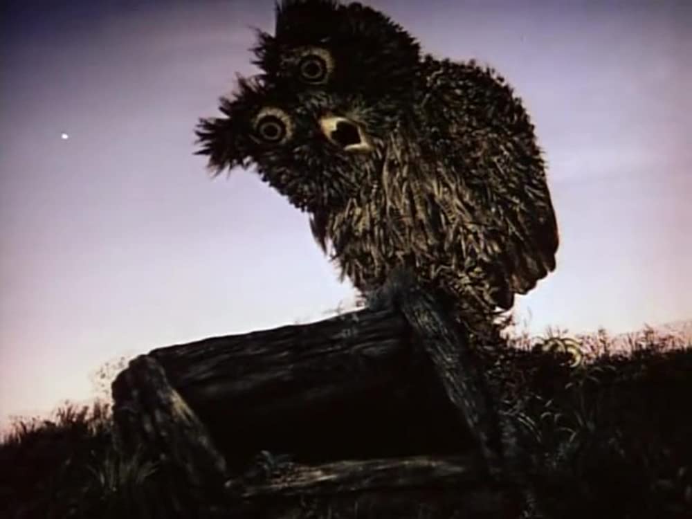 霧の中のハリネズミ／霧につつまれたハリネズミの画像