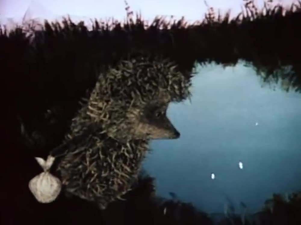 霧の中のハリネズミ／霧につつまれたハリネズミの画像