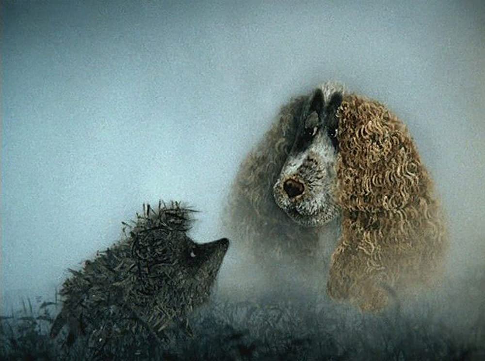 霧の中のハリネズミ／霧につつまれたハリネズミの画像