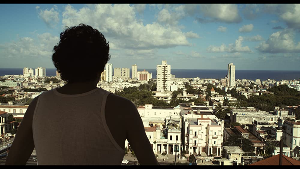 ゾンビ革命 フアン・オブ・ザ・デッドの画像