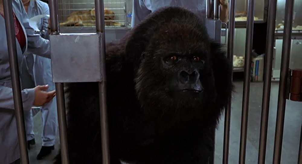 インビジブルの画像