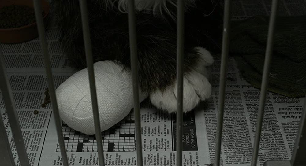 the Future ザ・フューチャーの画像