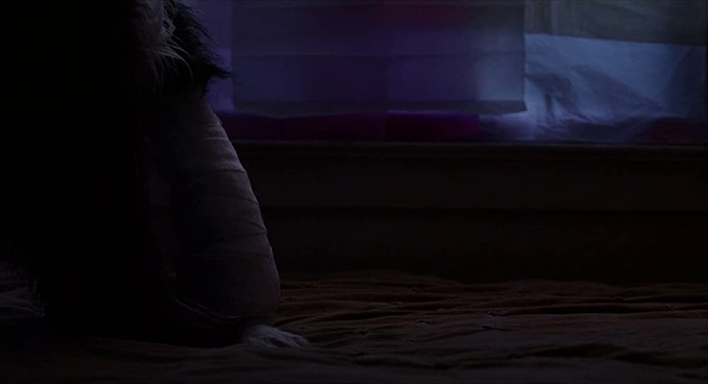 the Future ザ・フューチャーの画像