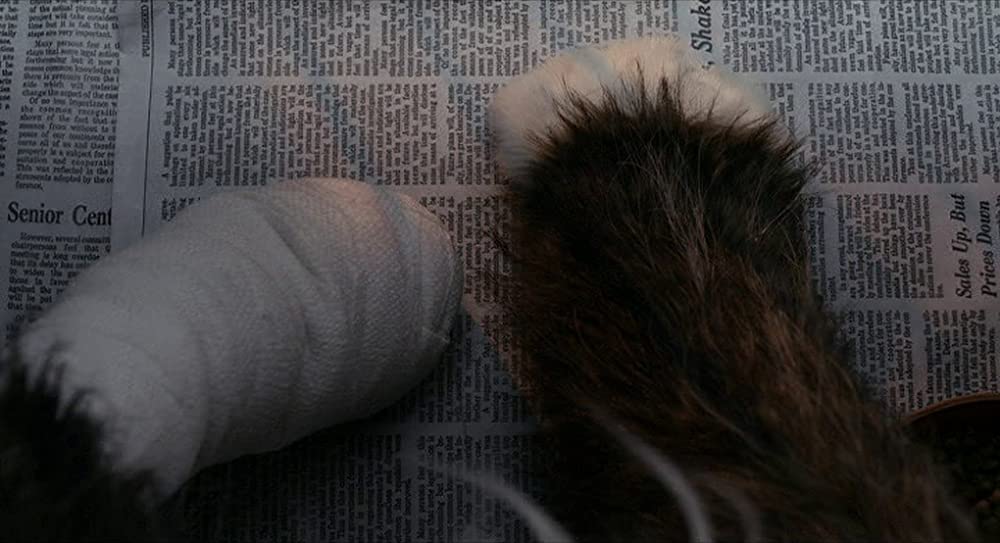 the Future ザ・フューチャーの画像