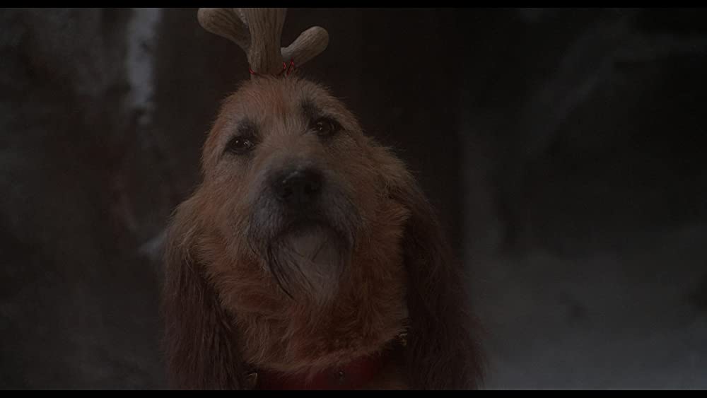 ムーランの画像