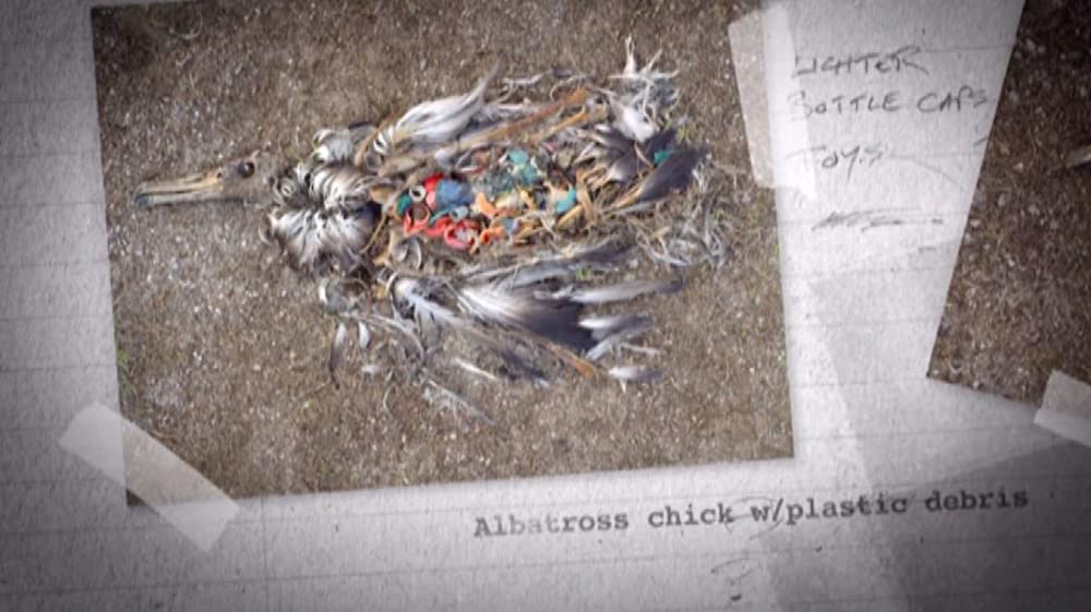 TRASHED ゴミ地球の代償の画像