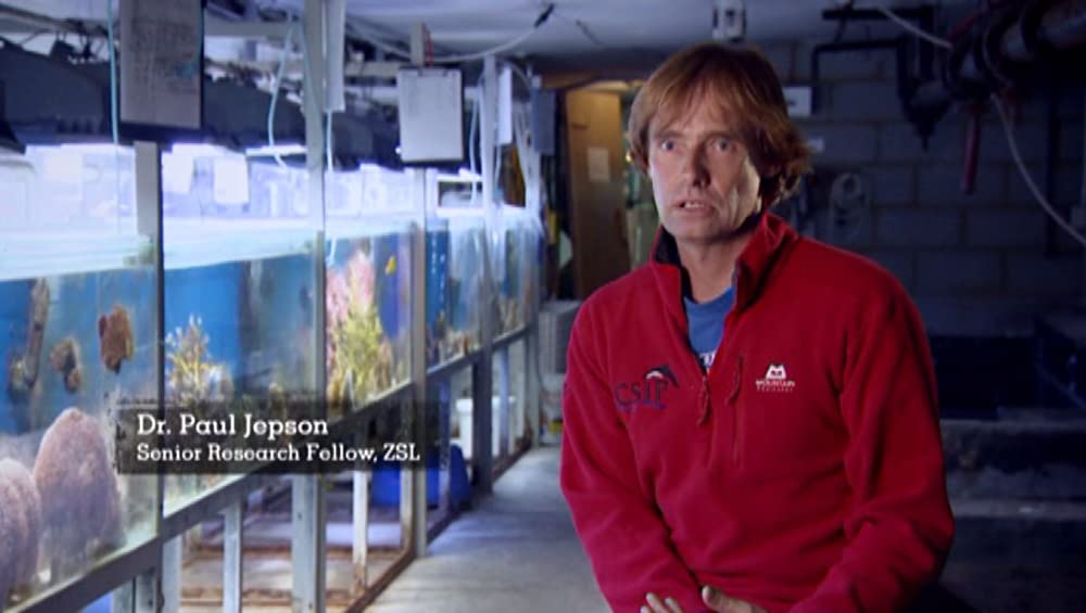 TRASHED ゴミ地球の代償の画像