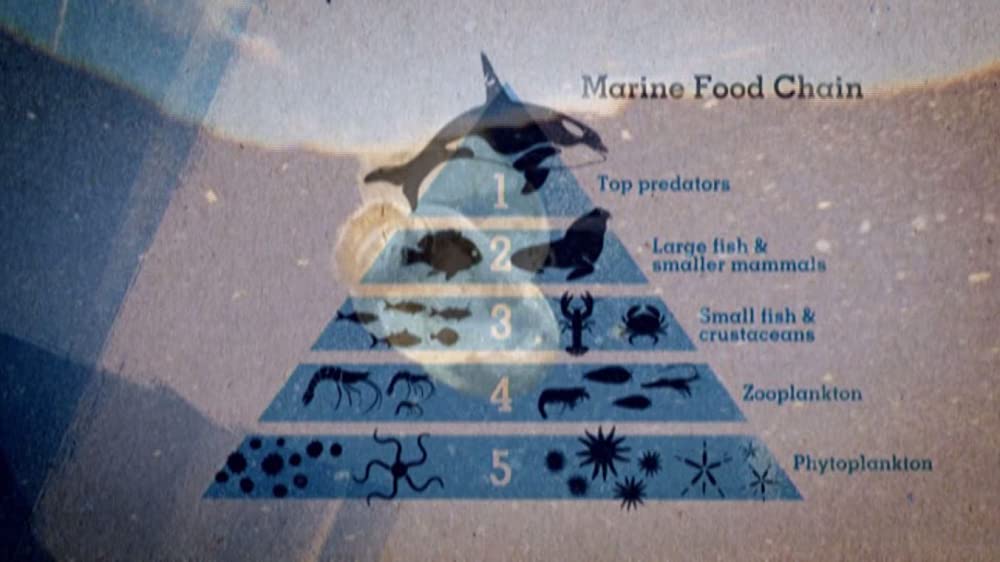 TRASHED ゴミ地球の代償の画像