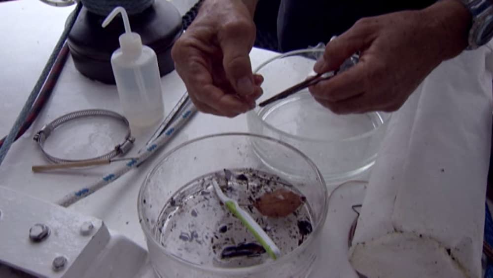 TRASHED ゴミ地球の代償の画像