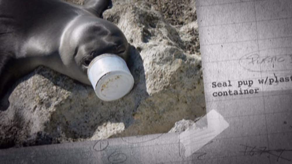 TRASHED ゴミ地球の代償の画像