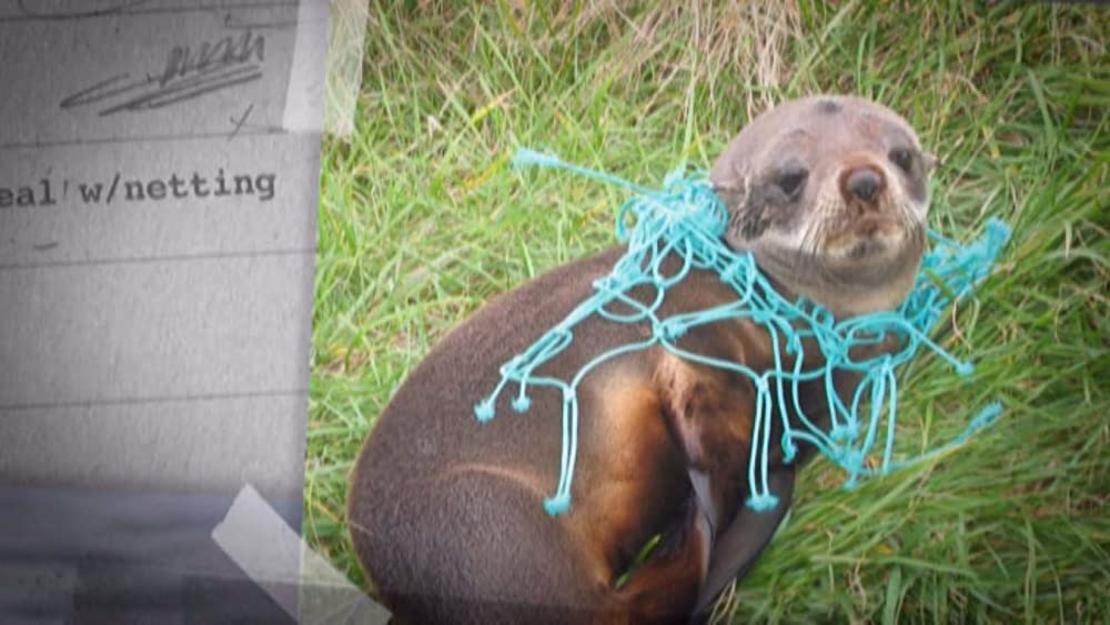 TRASHED ゴミ地球の代償の画像