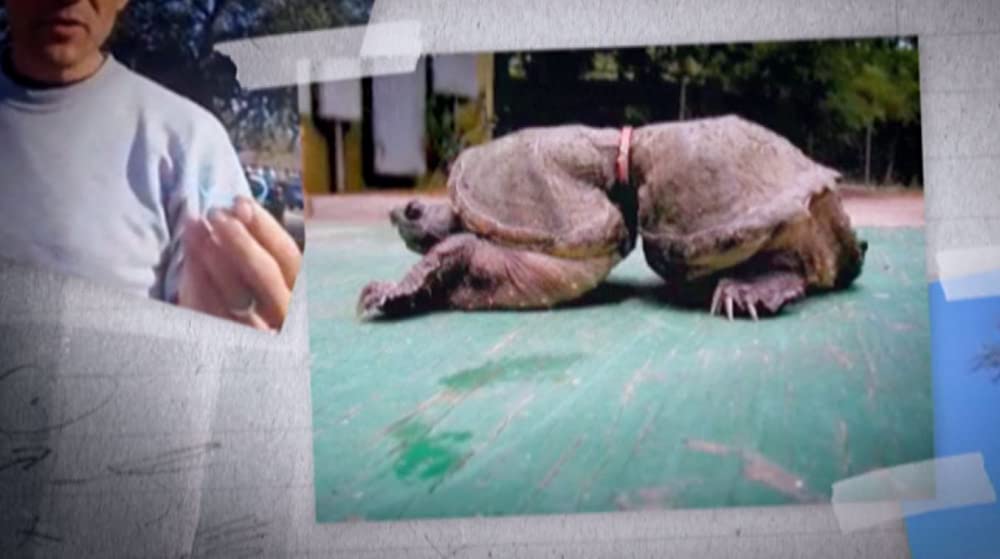 TRASHED ゴミ地球の代償の画像