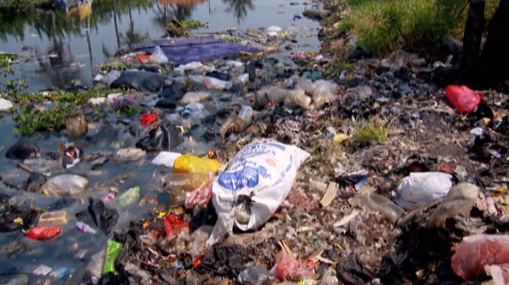 TRASHED ゴミ地球の代償の画像