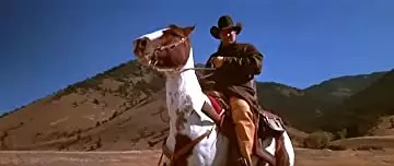 「沈黙の陰謀」スティーブン・セガールの画像