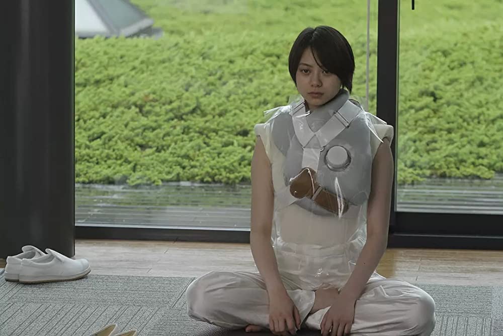 シャニダールの花の画像