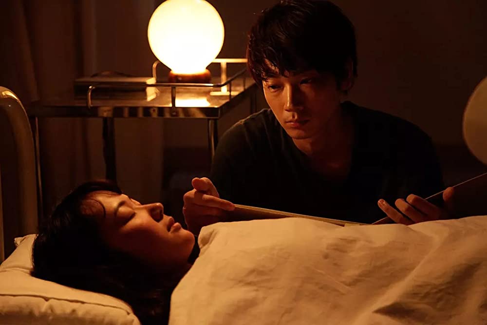 シャニダールの花の画像