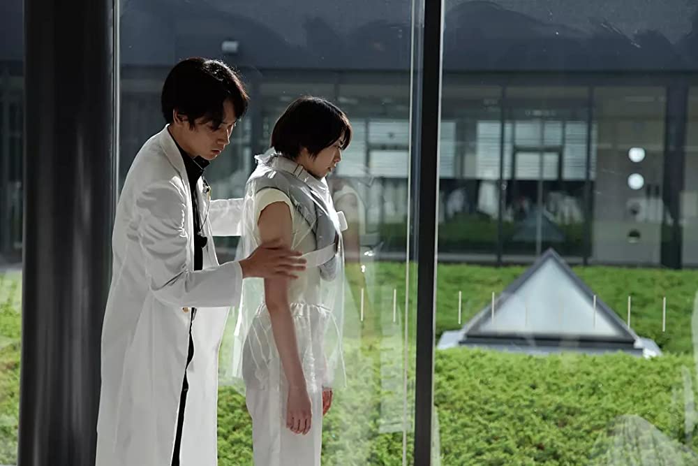 シャニダールの花の画像