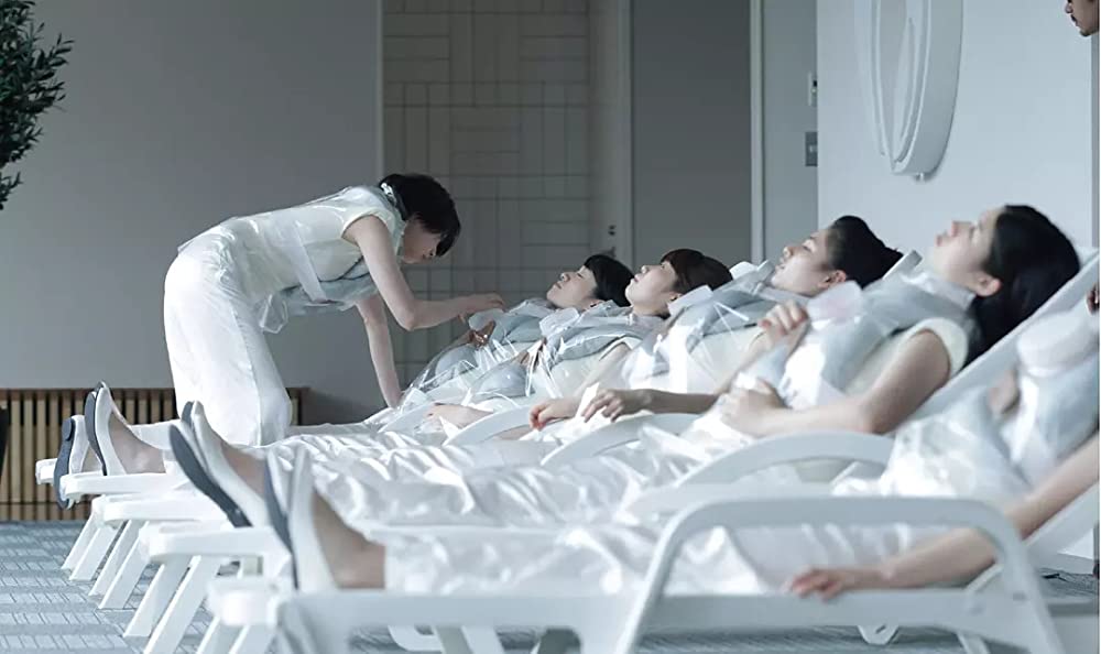 シャニダールの花の画像