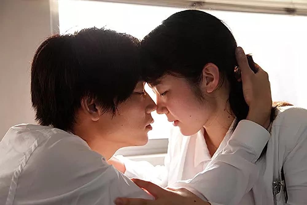 シャニダールの花の画像