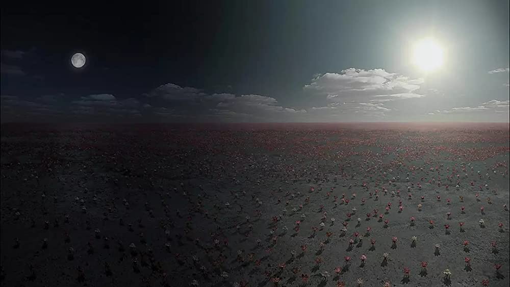 シャニダールの花の画像