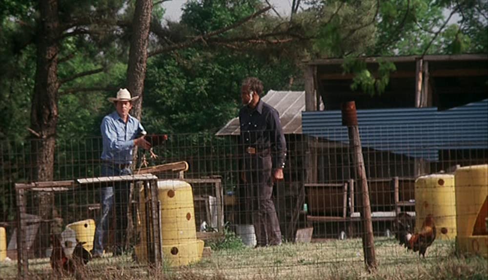 「コックファイター」ウォーレン・オーツの画像