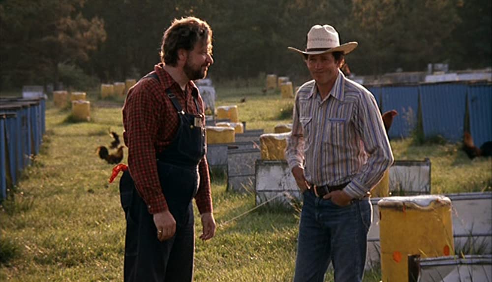 「コックファイター」ウォーレン・オーツ & リチャード・B・シャルの画像