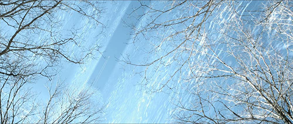 コリドーの画像