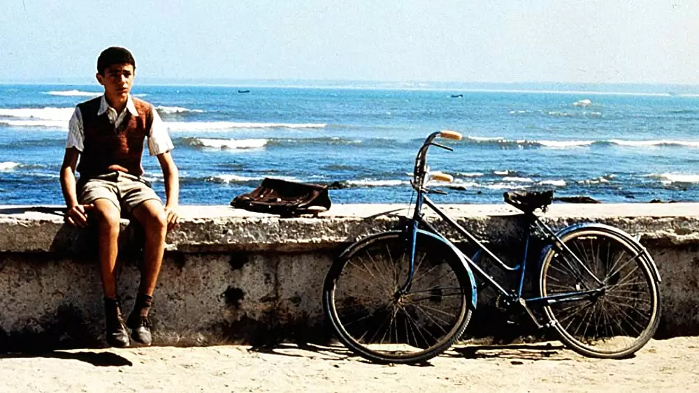 マレーナの画像