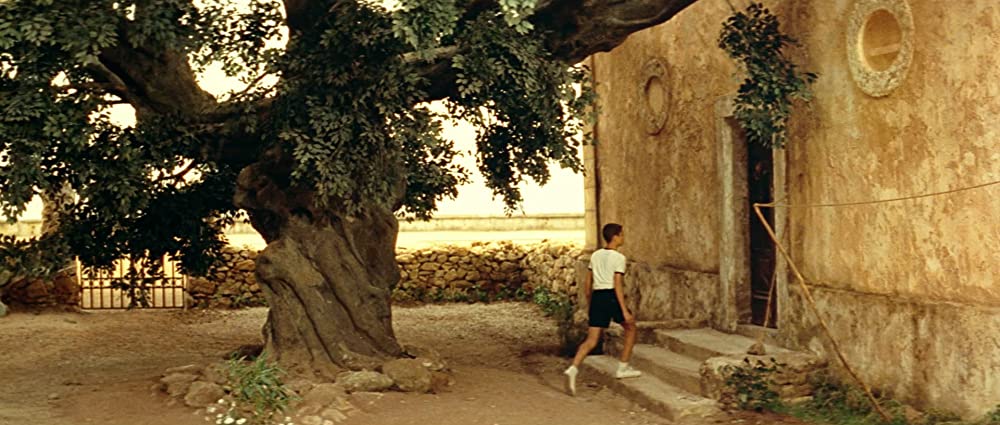 マレーナの画像