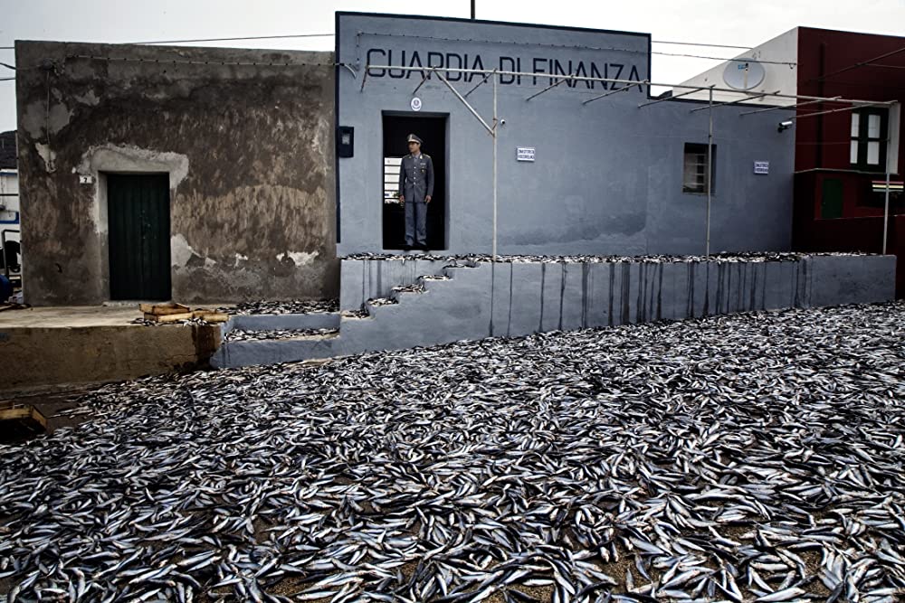 海と大陸の画像