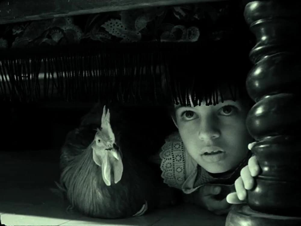 ブランカニエベスの画像