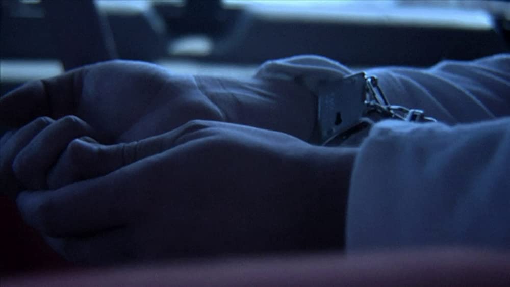 ビューティフル・ダイの画像