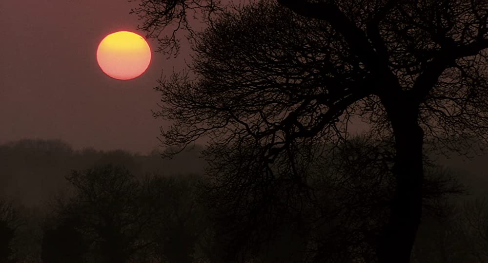 いとしきエブリデイの画像