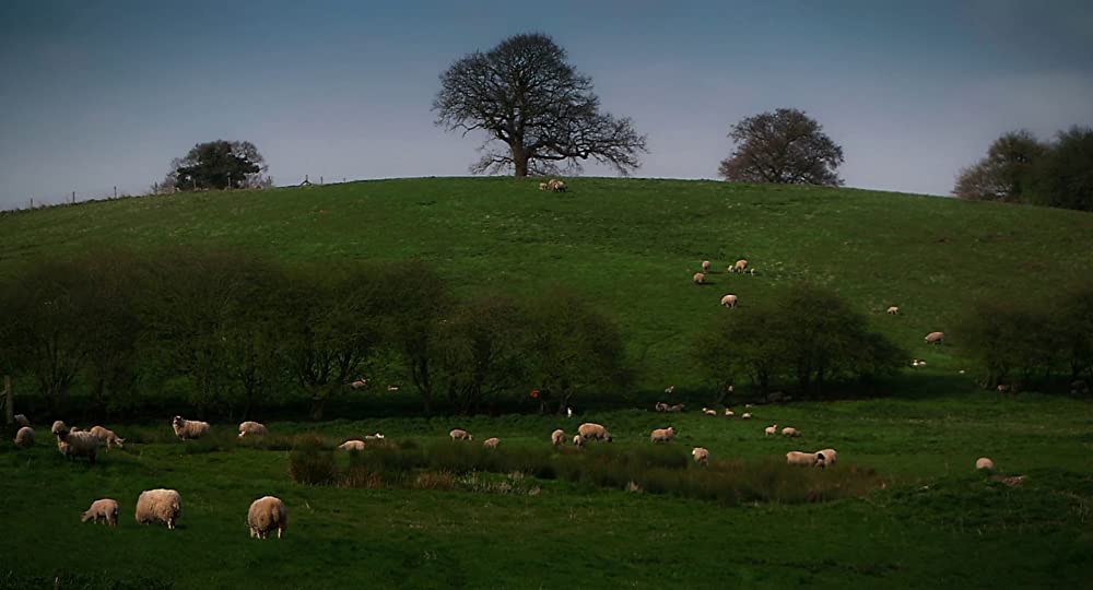 いとしきエブリデイの画像