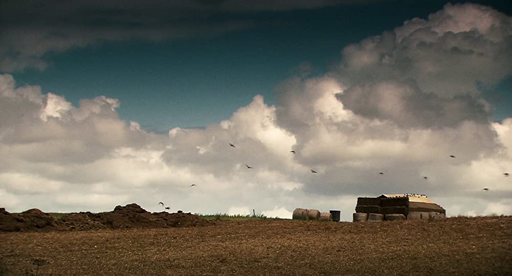 いとしきエブリデイの画像