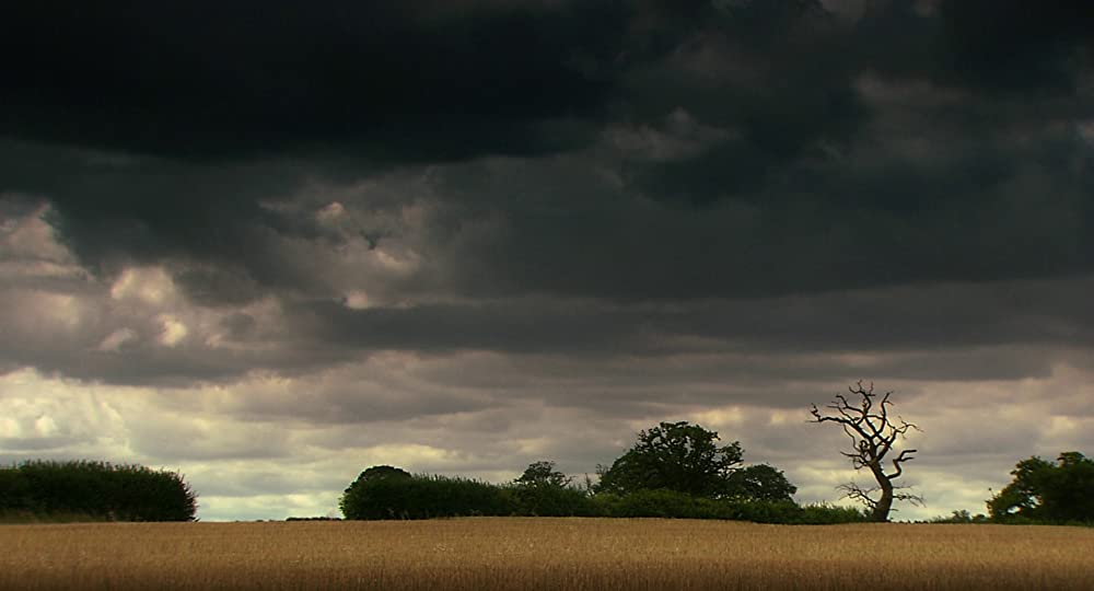 いとしきエブリデイの画像