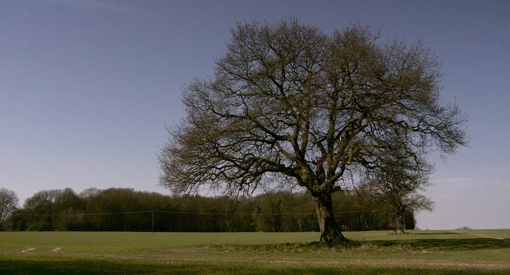 いとしきエブリデイの画像