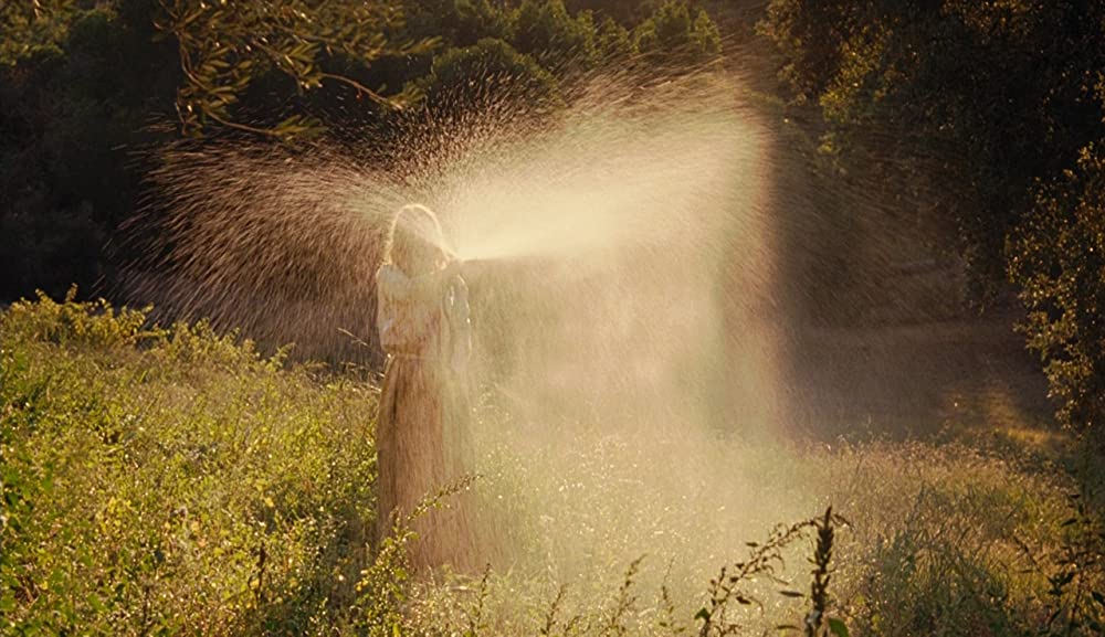 ルノワール 陽だまりの裸婦の画像