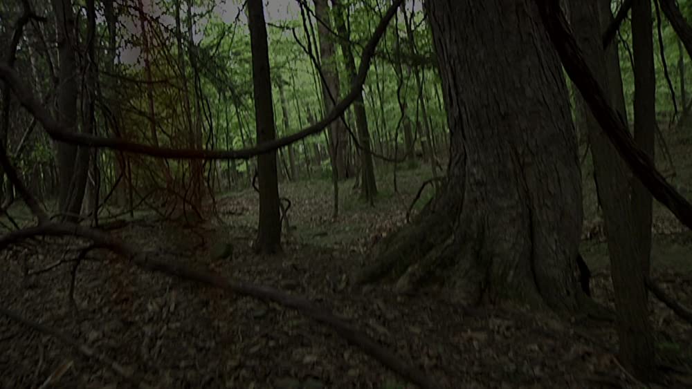 V/H/S シンドロームの画像