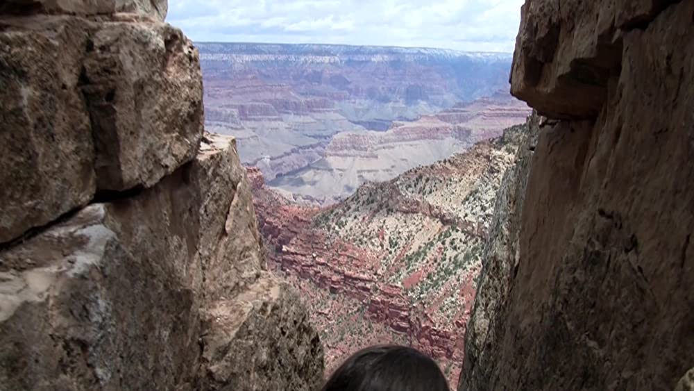 V/H/S シンドロームの画像