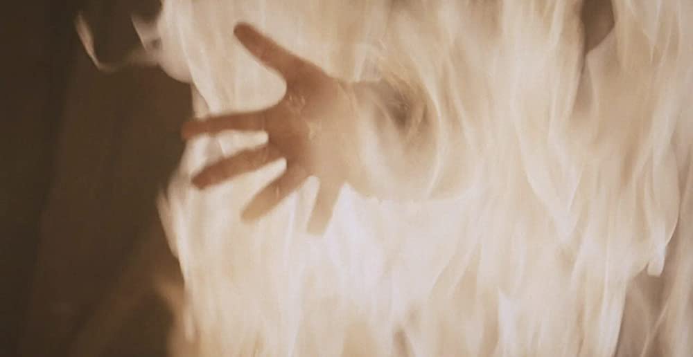 モスダイアリーの画像