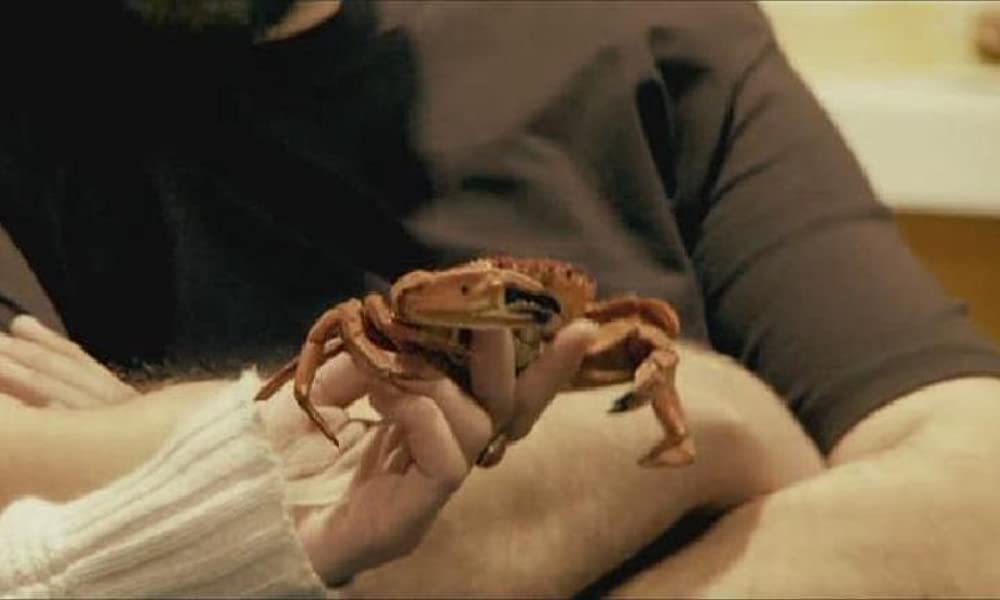 朝食、昼食、そして夕食の画像