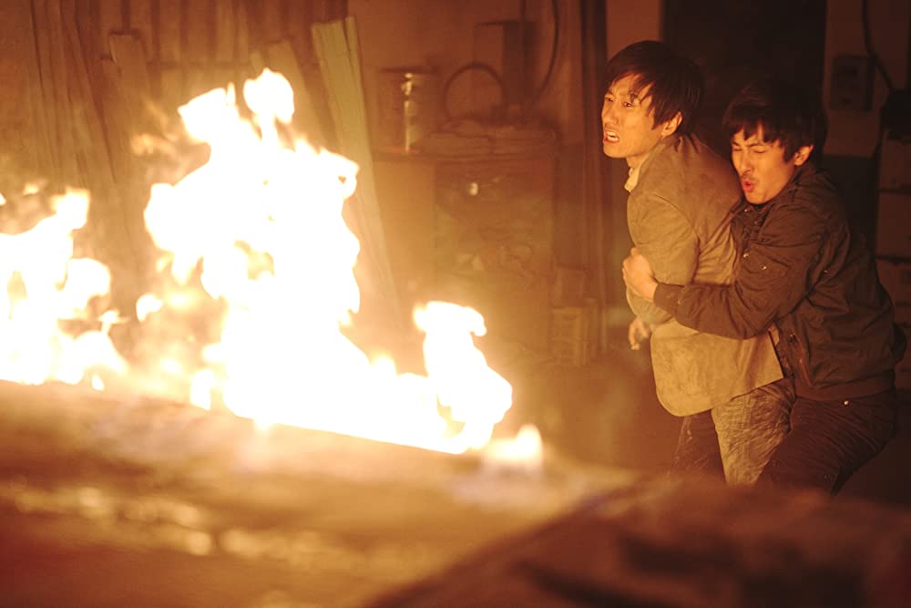 ヨンガシ 変種増殖の画像