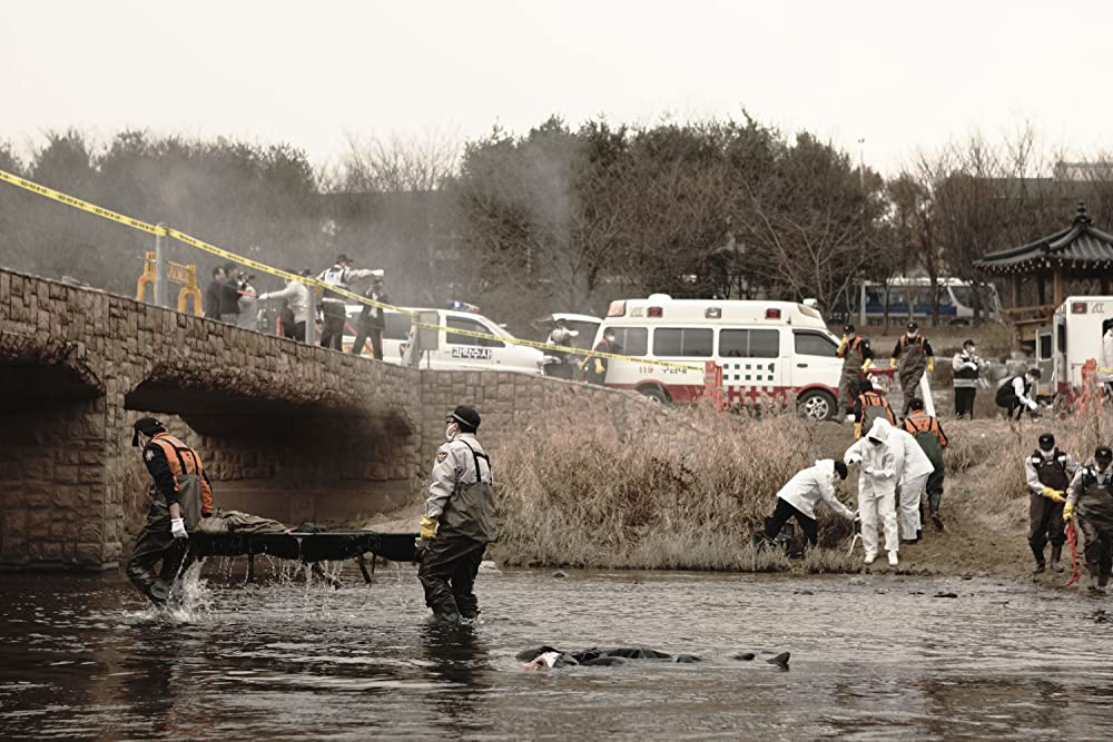 ヨンガシ 変種増殖の画像