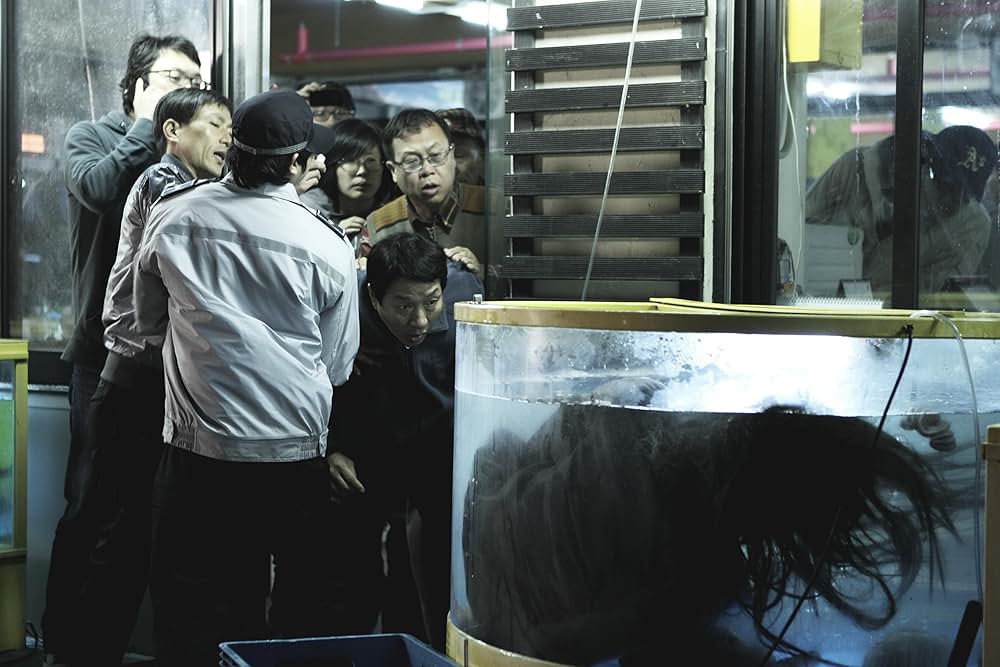 ヨンガシ 変種増殖の画像