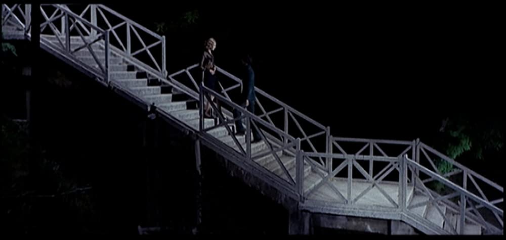 ベルトルッチの分身の画像