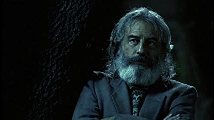 アモーレス・ペロスの画像